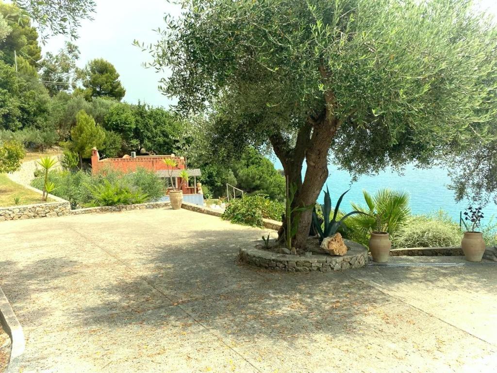 La Bouganvilla Charme & Relax Vista Mare Finale Ligure Exterior foto